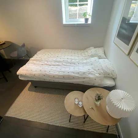 Apartment Newly Renovated Close To Center *