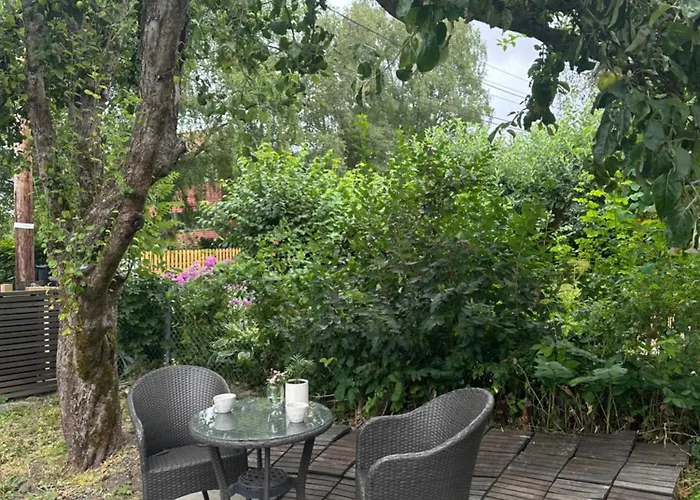 Newly Renovated Close To Center